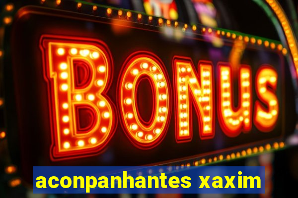 aconpanhantes xaxim